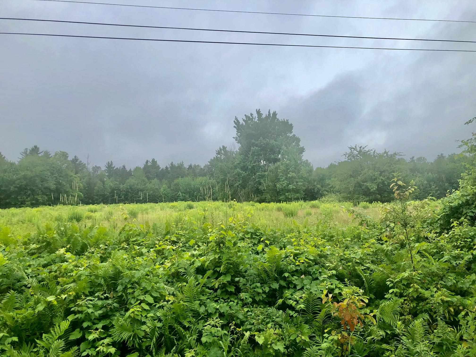 Moody Road, Unit 63 Pike, NH 03780 - Photo 6 of 6