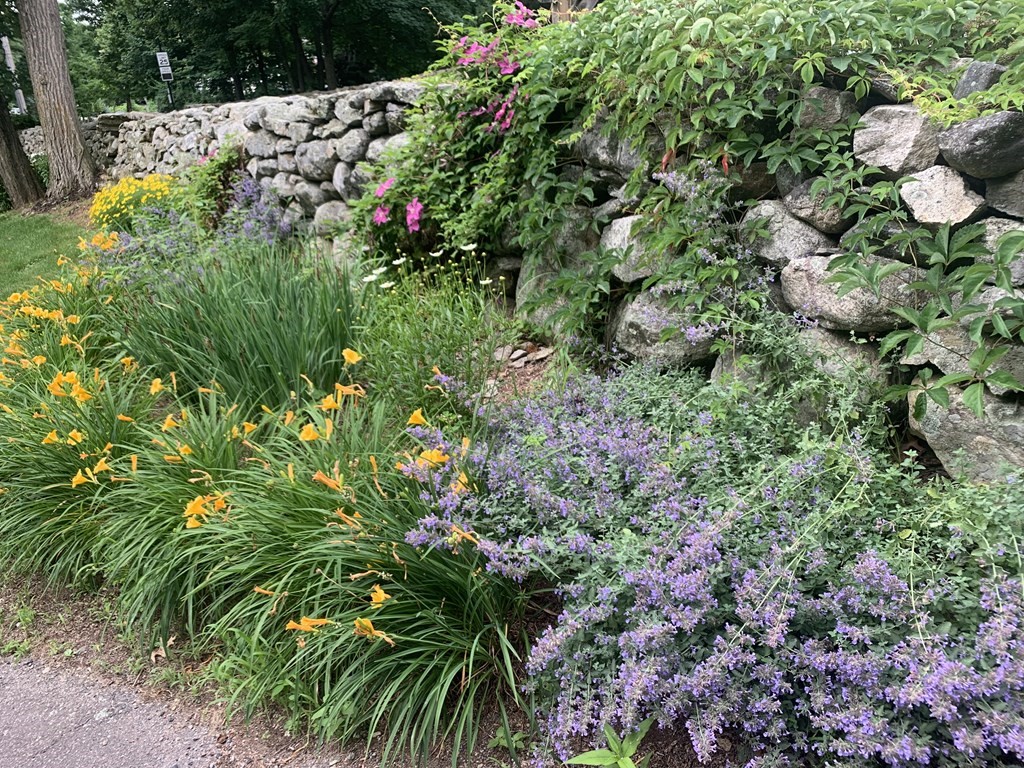 46 Flagg Road Southborough, MA 01772 - Photo 41 of 42 Gallery Image 41