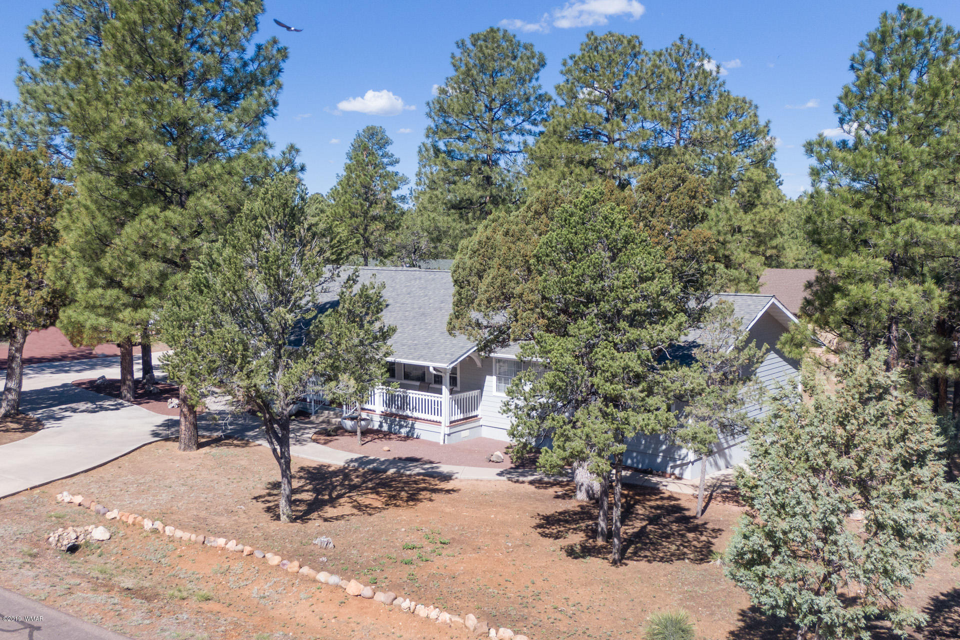 2854 Cedar Ridge Drive Overgaard, AZ 85933 - Photo 2 of 37