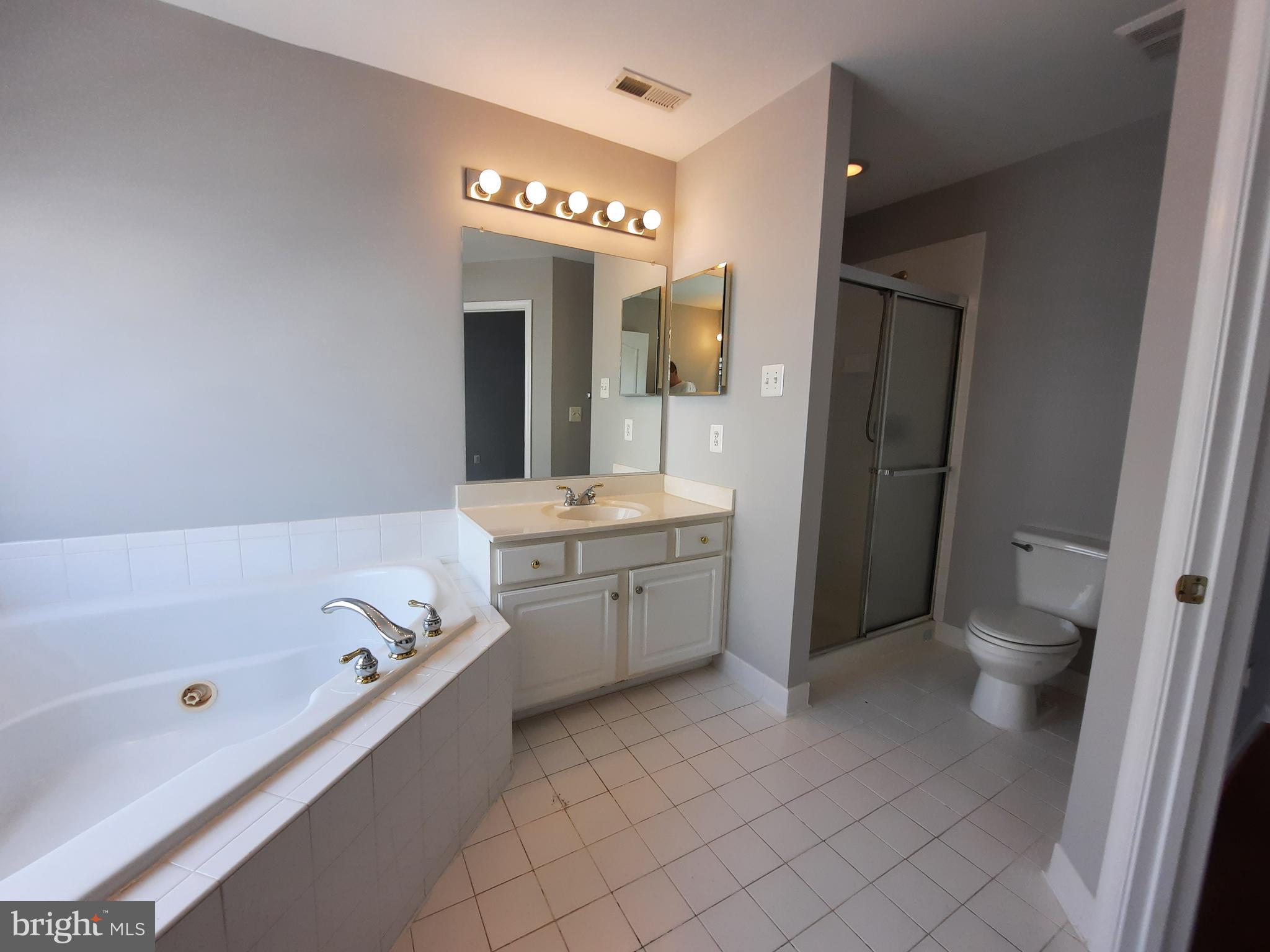 10258 Rutland Round Road, Unit 13 Columbia, MD 21044 - Photo 24 of 46 a bathroom with a bathtub a sink and a mirror