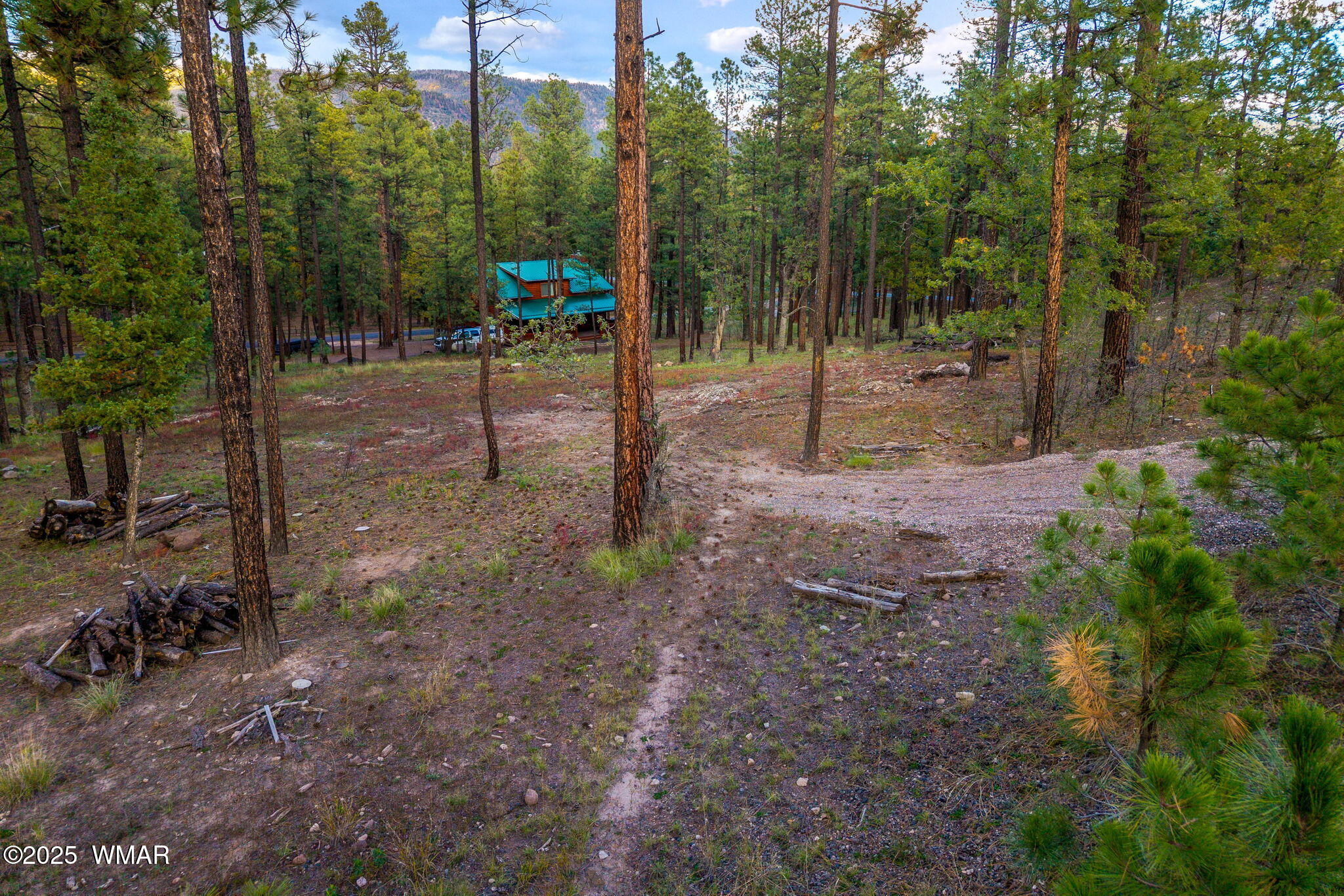 7 Eric Lane Alpine, AZ 85920 - Photo 6 of 17
