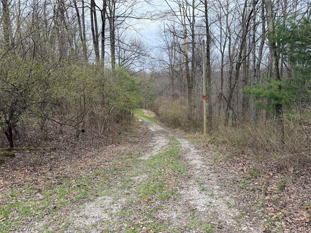 Hanson Road Beverly, OH 45715 - Photo 20 of 45