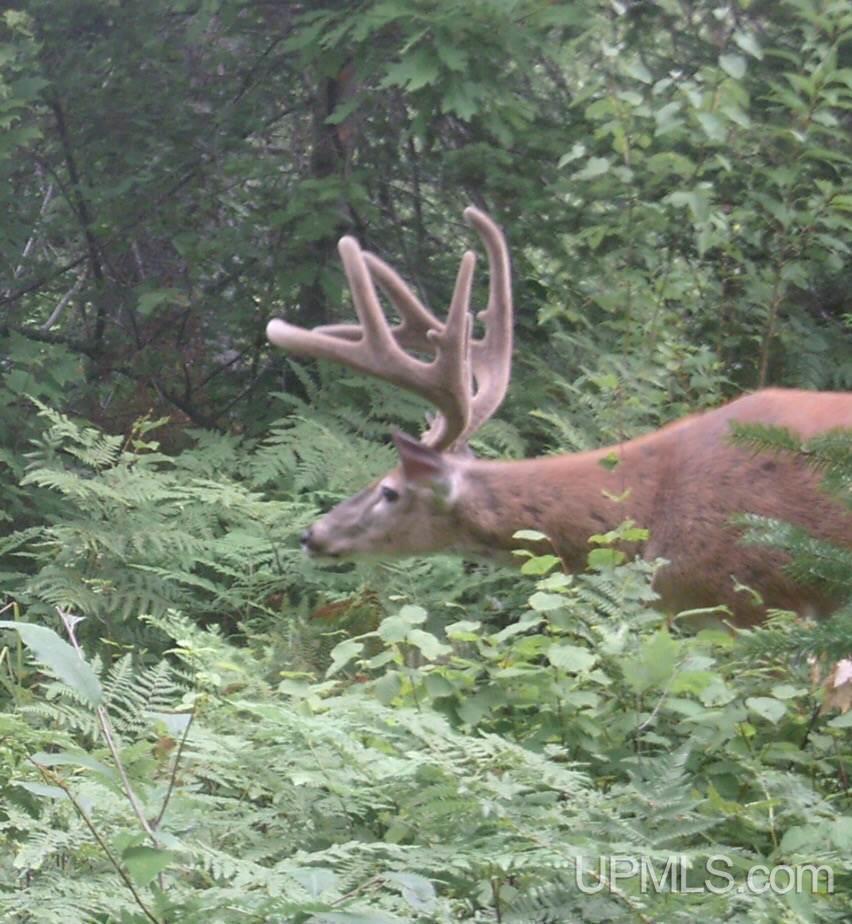 Tba Tapiola Road Chassell, MI 49916 - Photo 14 of 15 Gallery Image 14