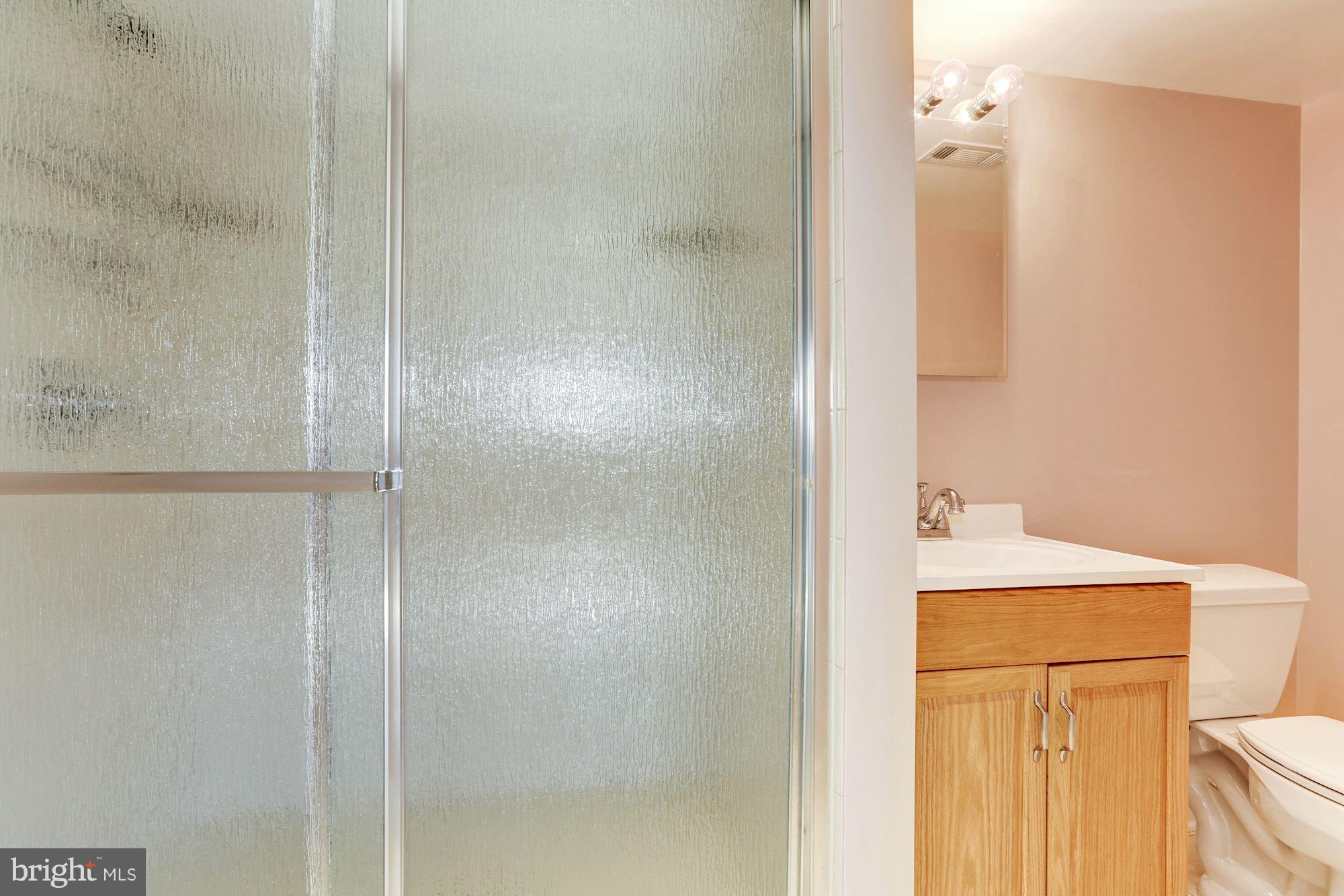 8284 Raindrop Way Springfield, VA 22153 - Photo 19 of 30 View of Shower in the Lower Level Bath