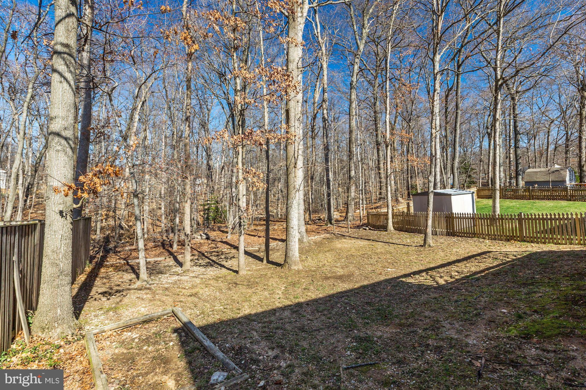 8284 Raindrop Way Springfield, VA 22153 - Photo 5 of 30 Another view of the back yard