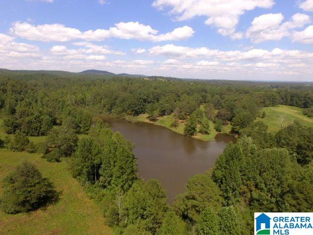 0 State Lake Road, Unit 31 ACRES Lineville, AL 36266 - Photo 1 of 15
