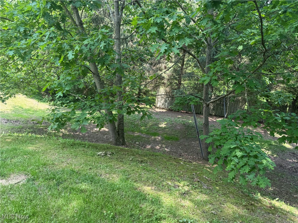 19693 Dudley Road Caldwell, OH 43724 - Photo 12 of 39 View of yard