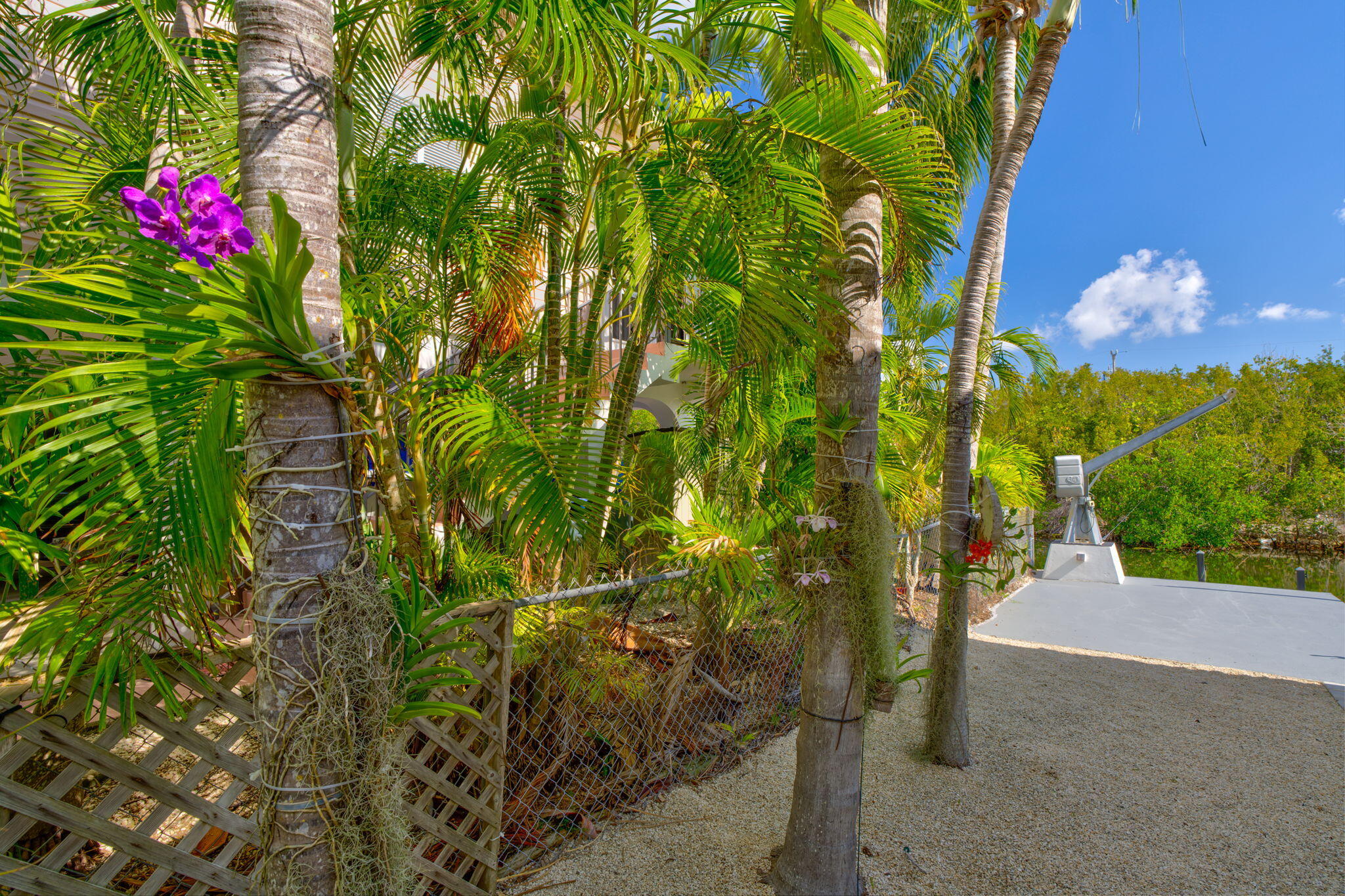 29025 Geranium Drive Big Pine Key, FL 33043 - Photo 39 of 45 Side yard