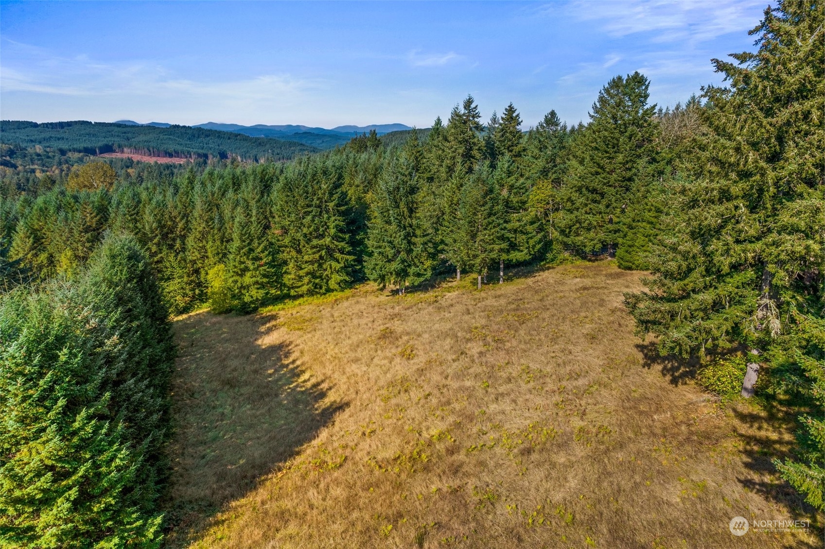 144 Aumick Road Winlock, WA 98596 - Photo 29 of 35 a view of mountain view with a lake view