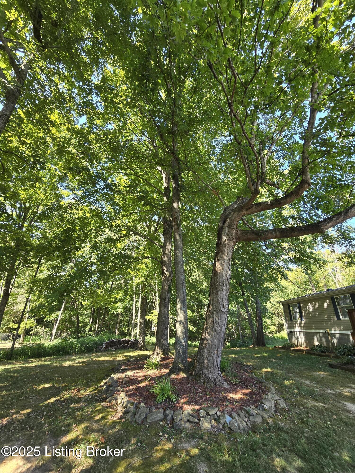 2131 Ridge Road Shepherdsville, KY 40165 - Photo 48 of 51 20250901_112137