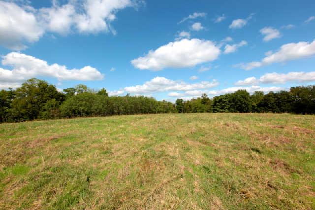 1812 Terrapin Branch Road Mount Pleasant, TN 38474 - Photo 11 of 20 Gallery Image 11