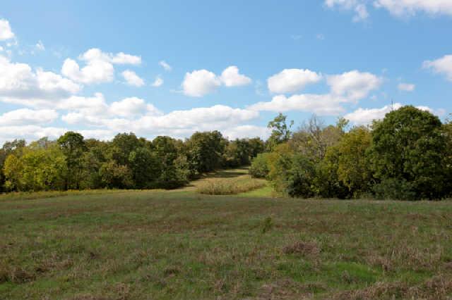 1812 Terrapin Branch Road Mount Pleasant, TN 38474 - Photo 12 of 20 Gallery Image 12