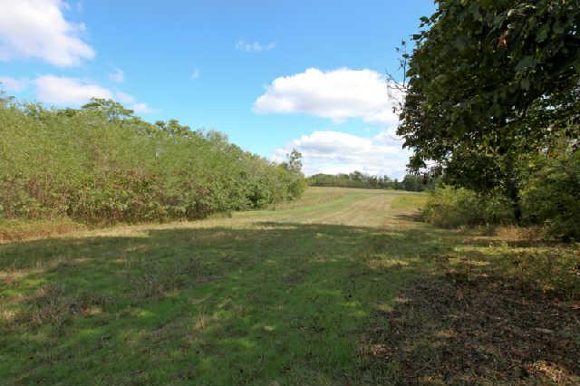 1812 Terrapin Branch Road Mount Pleasant, TN 38474 - Photo 13 of 20 Gallery Image 13