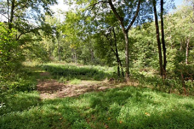 1812 Terrapin Branch Road Mount Pleasant, TN 38474 - Photo 14 of 20 Gallery Image 14