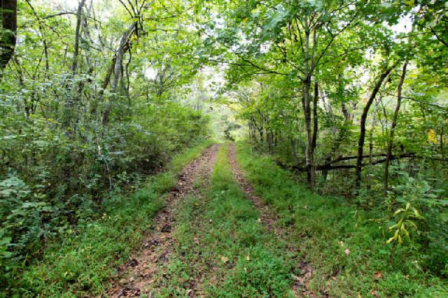 1812 Terrapin Branch Road Mount Pleasant, TN 38474 - Photo 15 of 20 Gallery Image 15