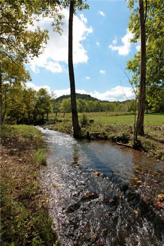 1812 Terrapin Branch Road Mount Pleasant, TN 38474 - Photo 16 of 20 Gallery Image 16