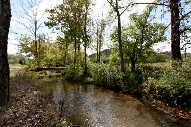 1812 Terrapin Branch Road Mount Pleasant, TN 38474 - Photo 17 of 20 Gallery Image 17