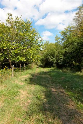 1812 Terrapin Branch Road Mount Pleasant, TN 38474 - Photo 5 of 20 Gallery Image 5