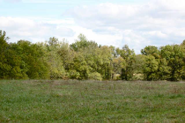 1812 Terrapin Branch Road Mount Pleasant, TN 38474 - Photo 8 of 20 Gallery Image 8