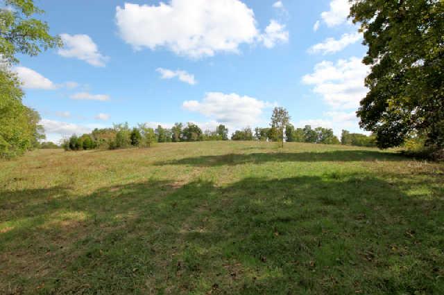 1812 Terrapin Branch Road Mount Pleasant, TN 38474 - Photo 10 of 20 Gallery Image 10