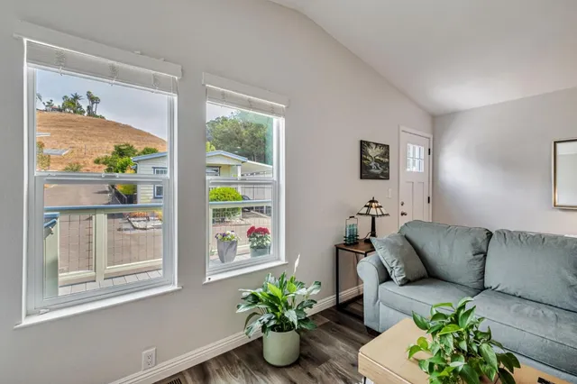 a living room with furniture and a potted plant