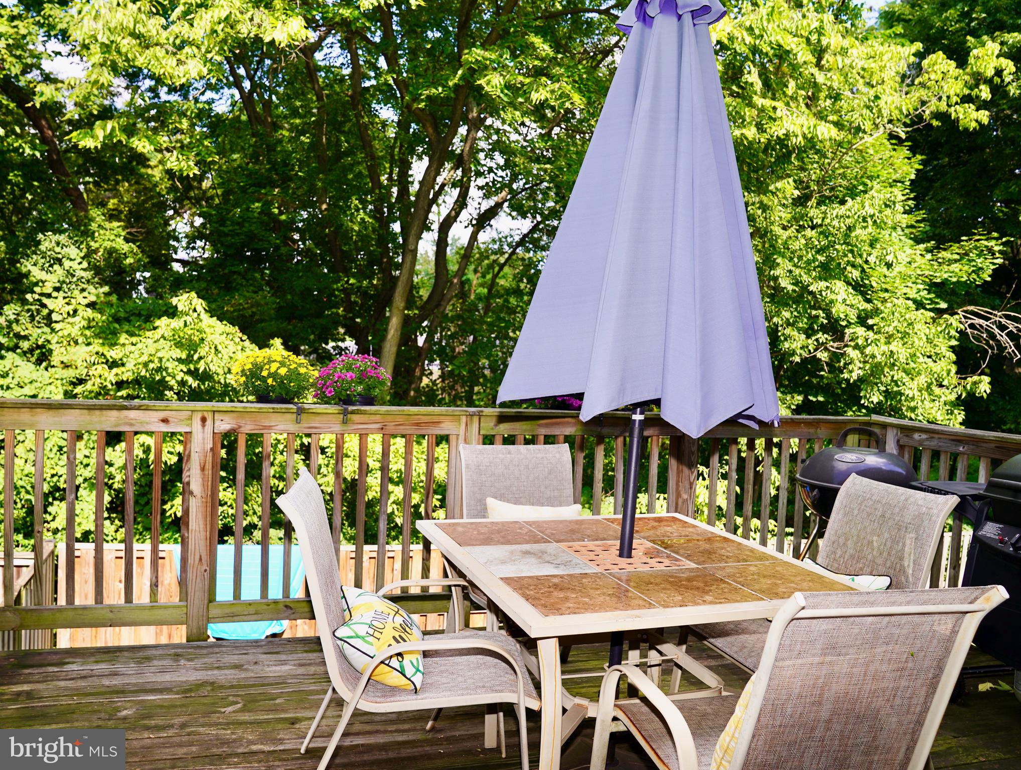 597 Primus Court Frederick, MD 21703 - Photo 14 of 28 Deck Backs to Trees