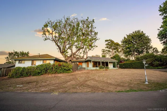 a view of a yard with a tree