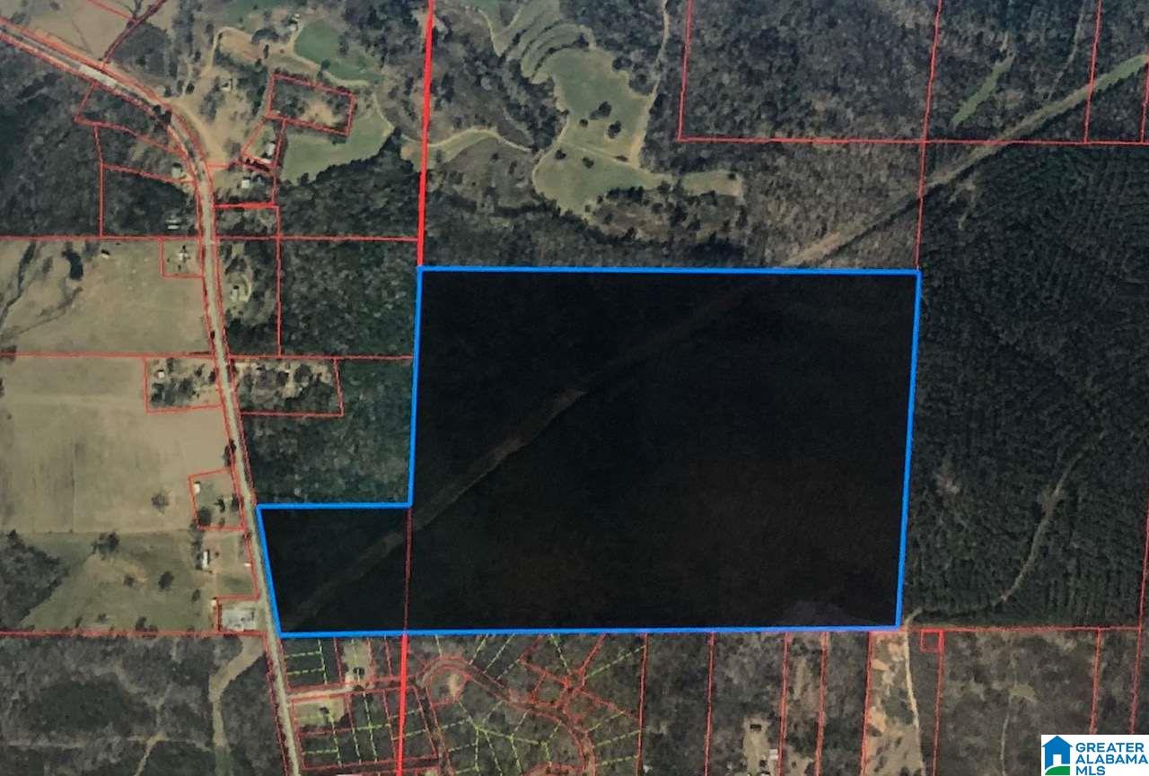 0 Renfroe Road, Unit 129 Alpine, AL 35014 - Photo 12 of 25 Gallery Image 12