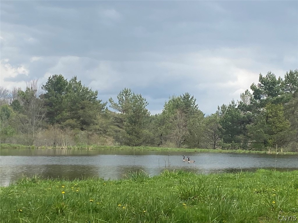 6281 East Hill Road Caneadea, NY 14717 - Photo 4 of 26
