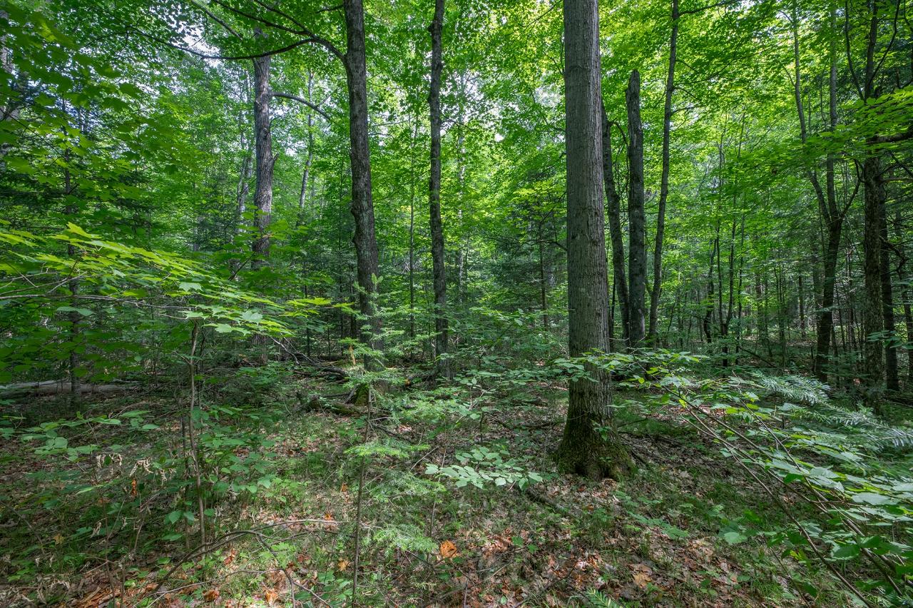 Lot 6 East Anvil Lake Road Eagle River, WI 54521 - Photo 6 of 22 Gallery Image 6