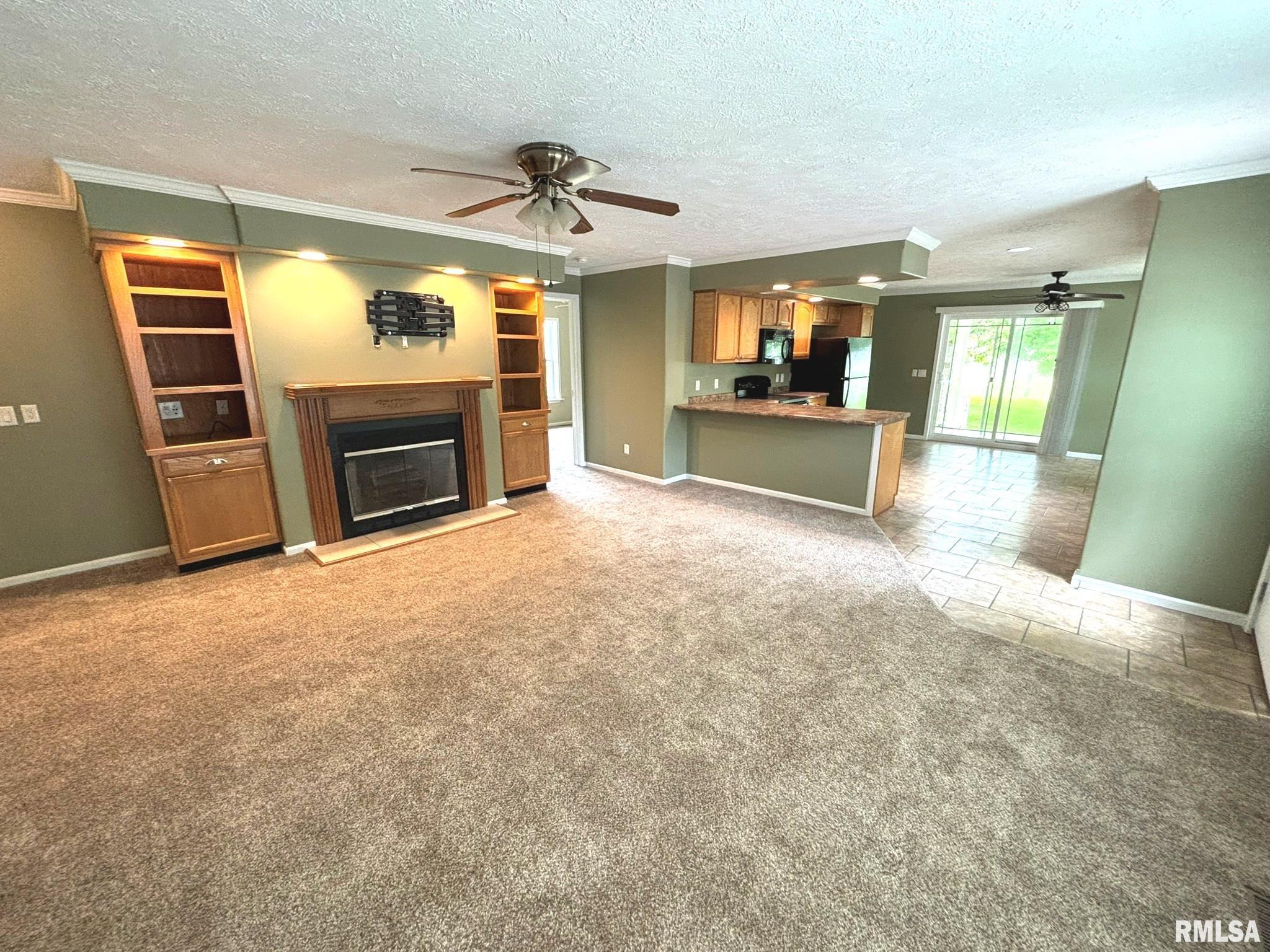 3271 Selmaville Road Salem, IL 62881 - Photo 3 of 13