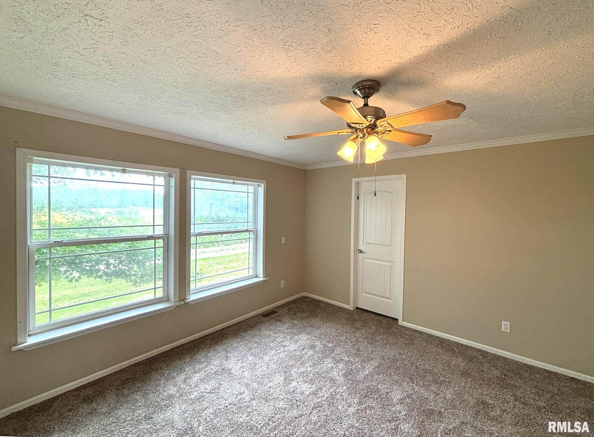 3271 Selmaville Road Salem, IL 62881 - Photo 6 of 13
