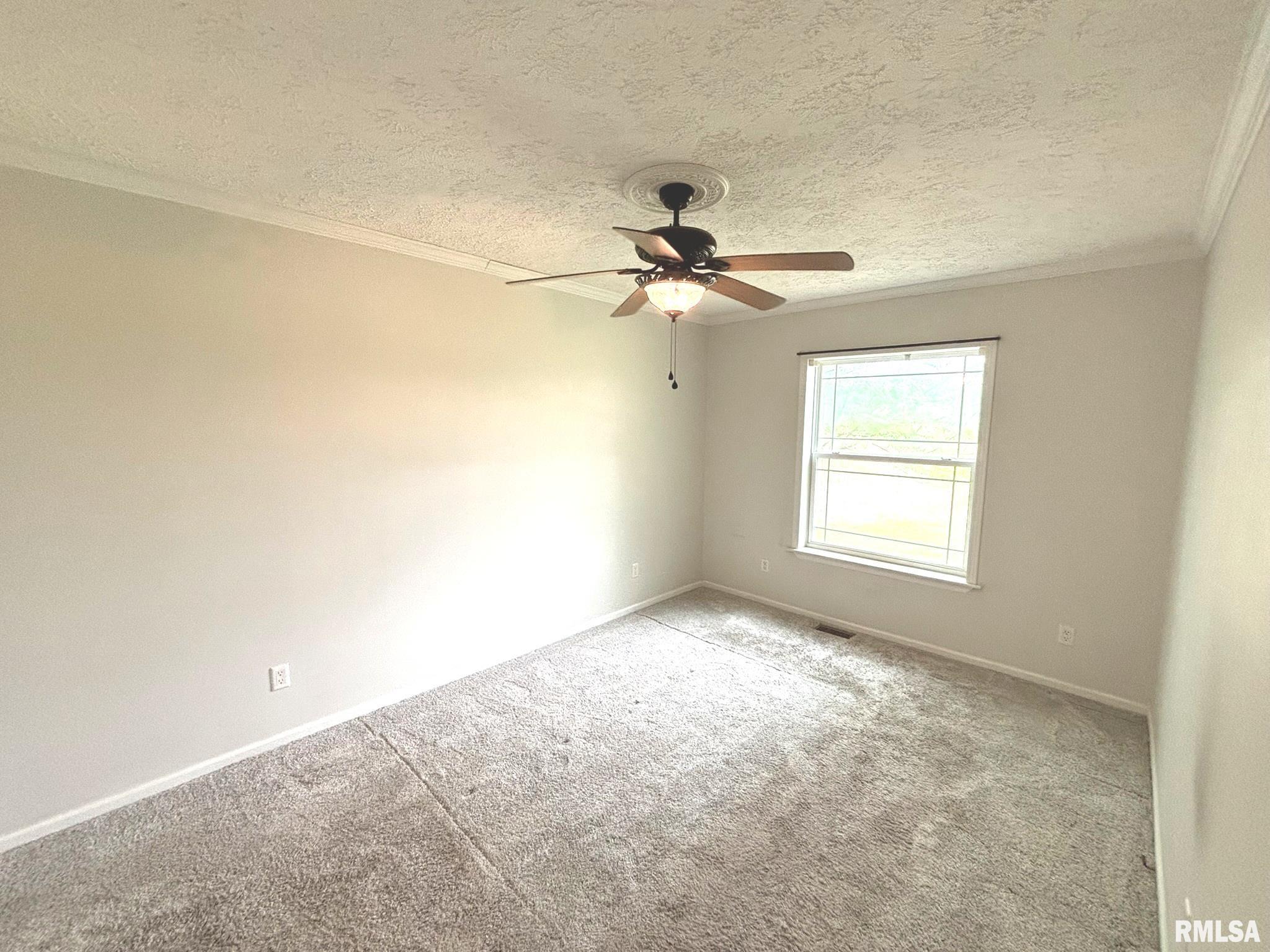 3271 Selmaville Road Salem, IL 62881 - Photo 8 of 13