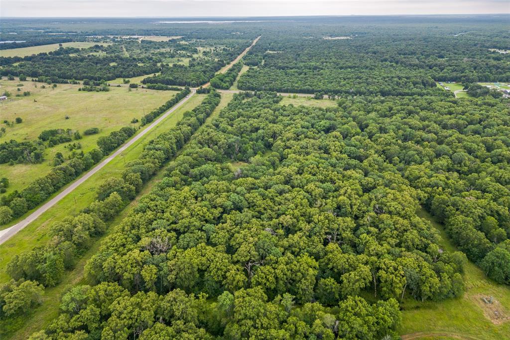 0 Us-287 Athens, TX 75751 - Photo 4 of 4 a view of a city with lush green forest