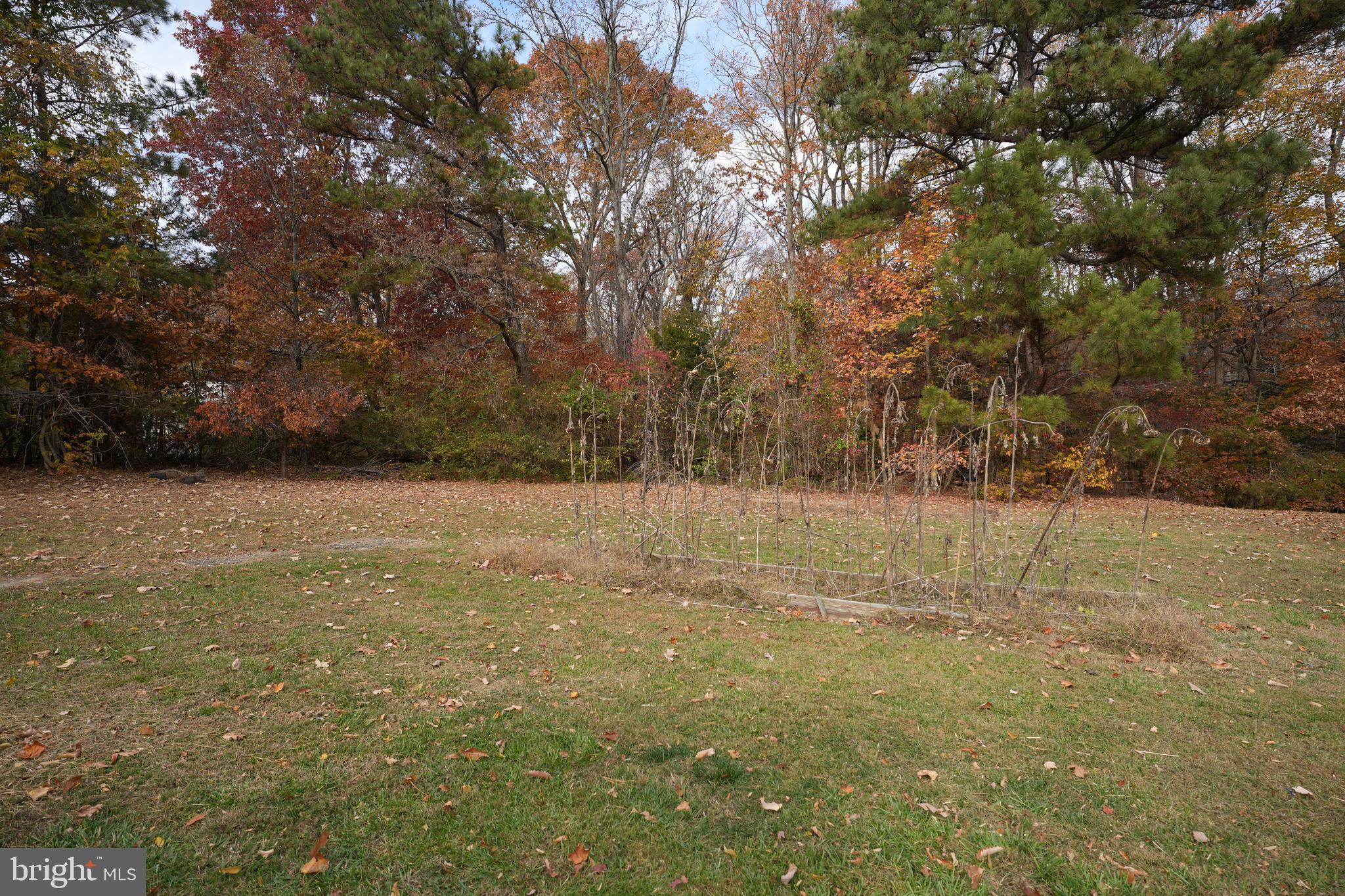 20812 Poplar Ridge Road Lexington Park, MD 20653 - Photo 9 of 12 Gallery Image 9