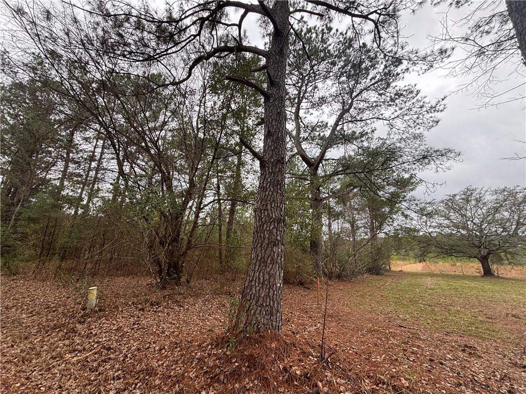 0 Putt Moran Loop Lacombe, LA 70445 - Photo 3 of 11