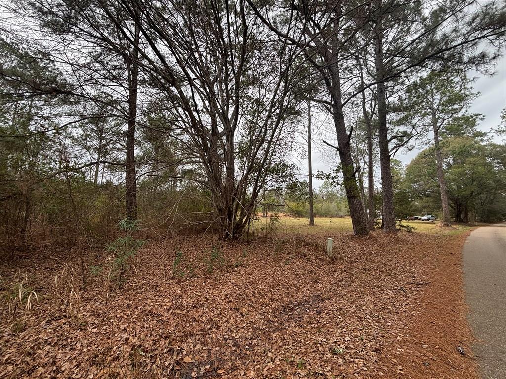 0 Putt Moran Loop Lacombe, LA 70445 - Photo 4 of 11