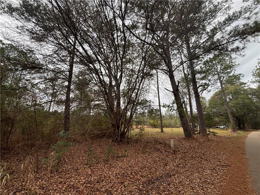 0 Putt Moran Loop Lacombe, LA 70445 - Photo 6 of 11