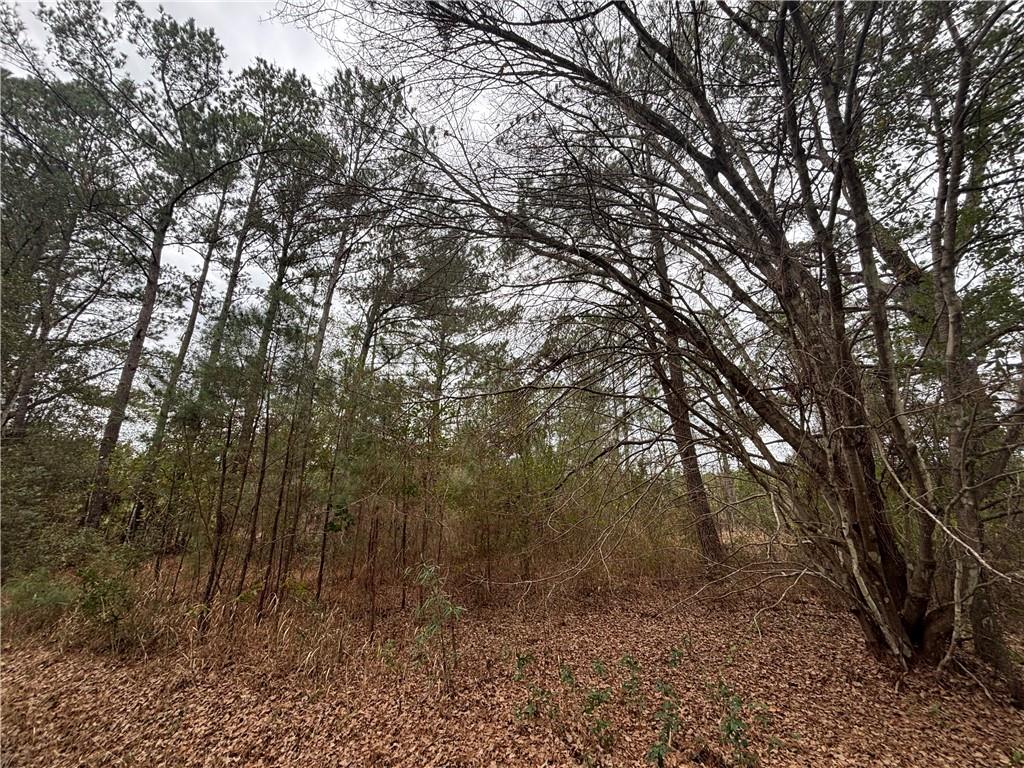 0 Putt Moran Loop Lacombe, LA 70445 - Photo 8 of 11