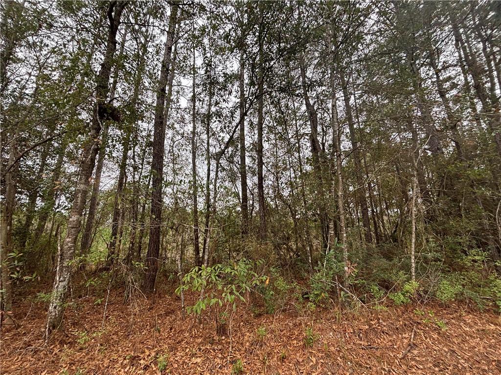 0 Putt Moran Loop Lacombe, LA 70445 - Photo 10 of 11