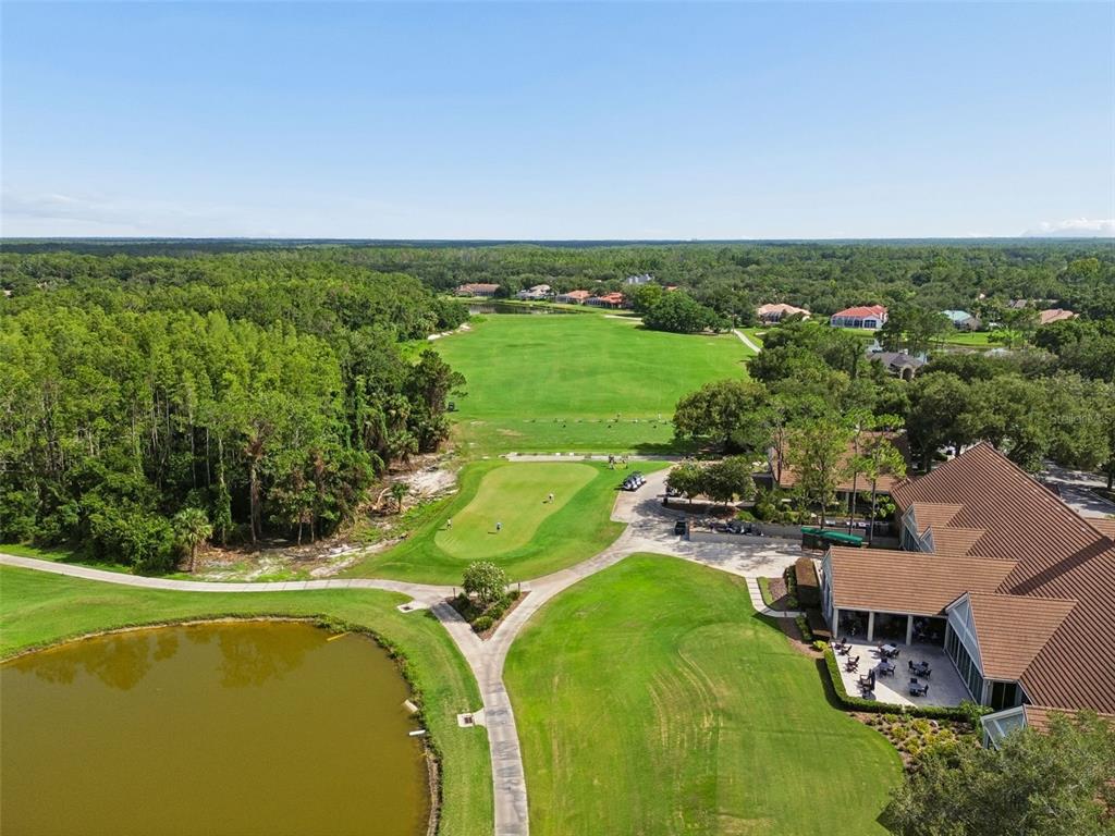 17708 Long Ridge Road Tampa, FL 33647 - Photo 86 of 100 Gallery Image 86