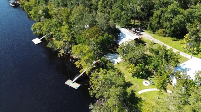 a view of a tree with a flower in a garden