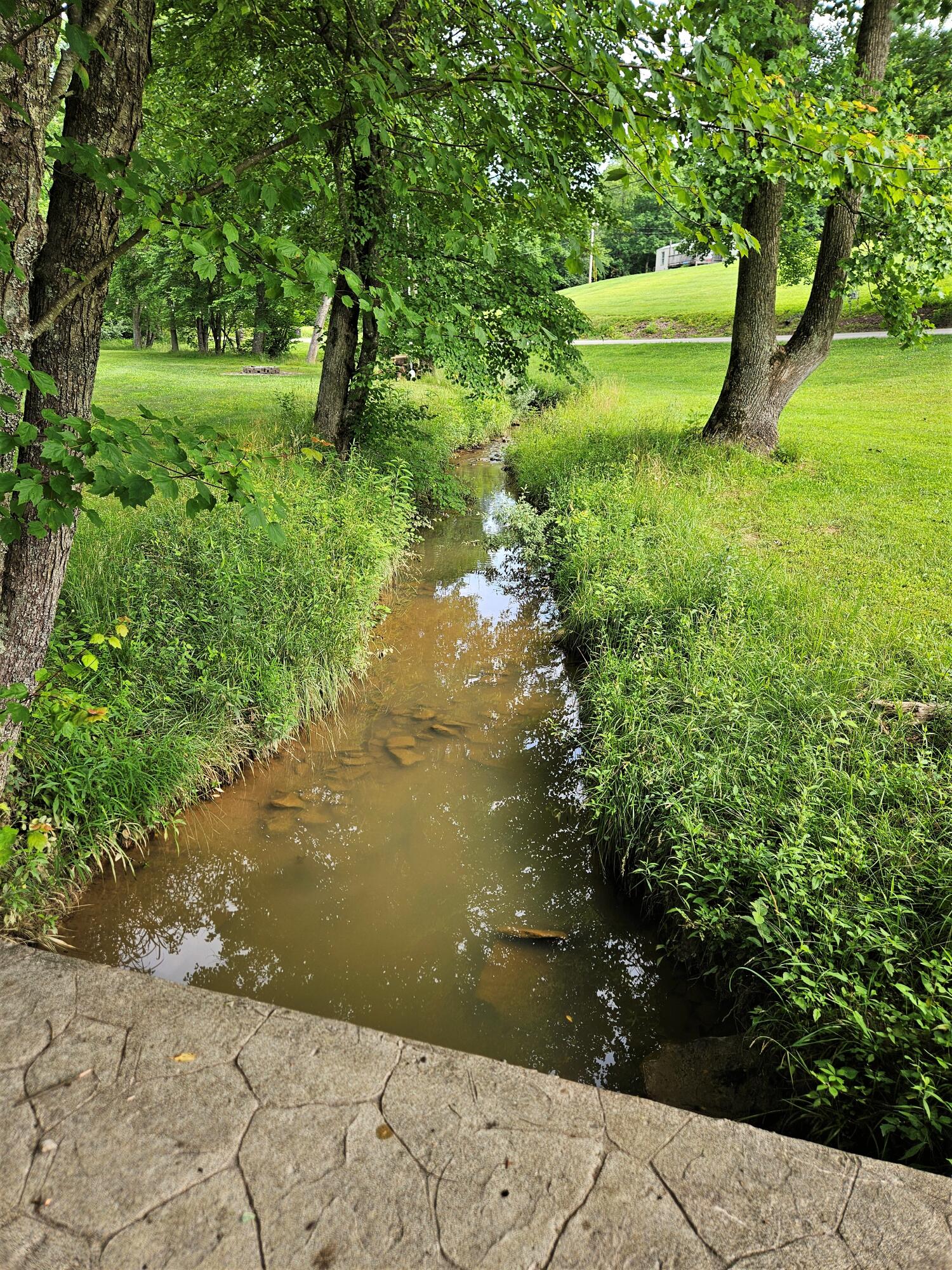 3821 Tidal Wave Road Corbin, KY 40701 - Photo 7 of 70 20250612_101120