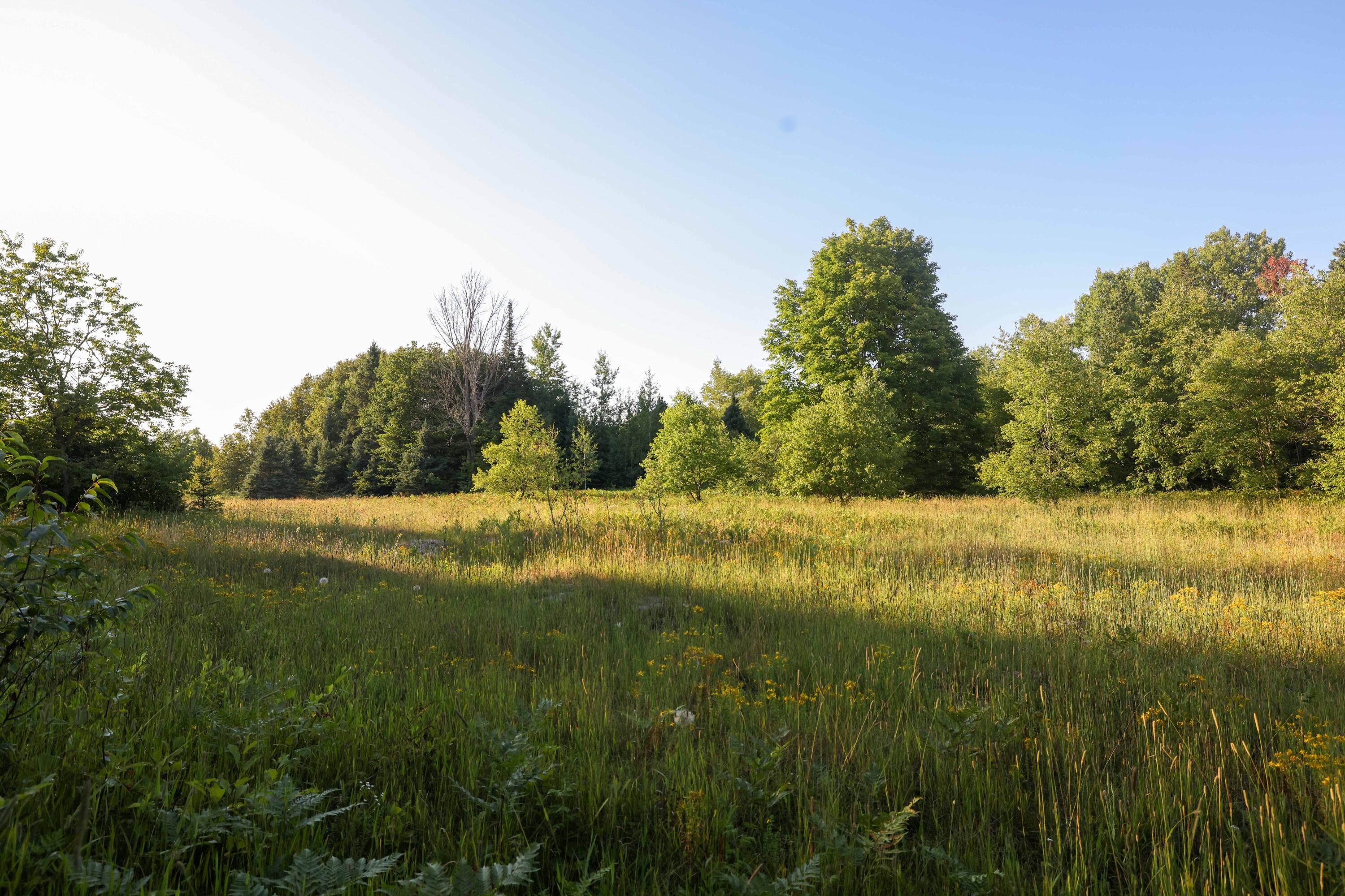 0 Ford Lake Road Germfask, MI 49836 - Photo 5 of 49 Gallery Image 5