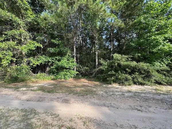 $50,000 | 95 Red Wolf Lane, Brookeland, TX 75931