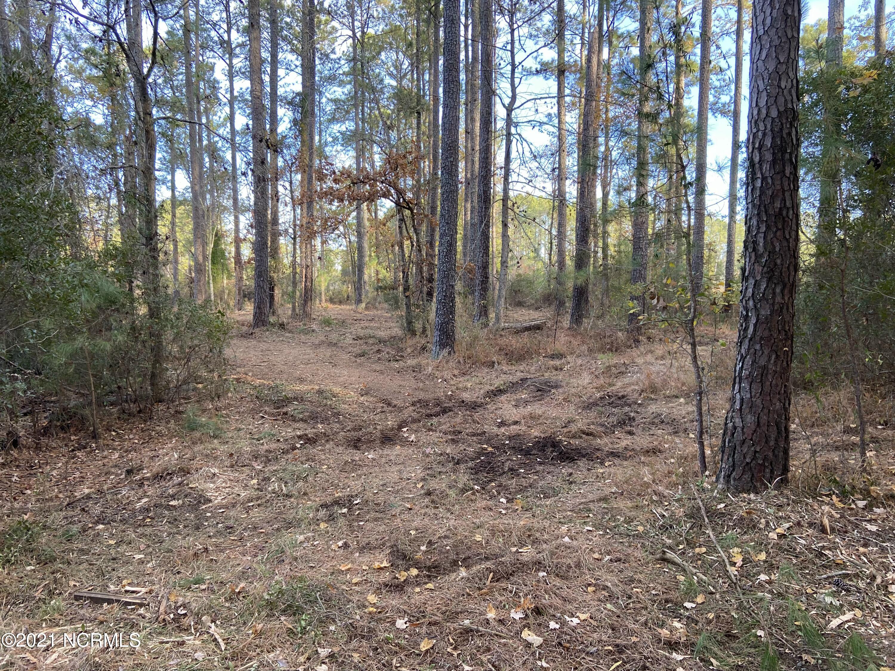 3 Schrams Beach Road Belhaven, NC 27810 - Photo 11 of 17 AF1DCA23-D7BB-4876-8E1D-52699168792F