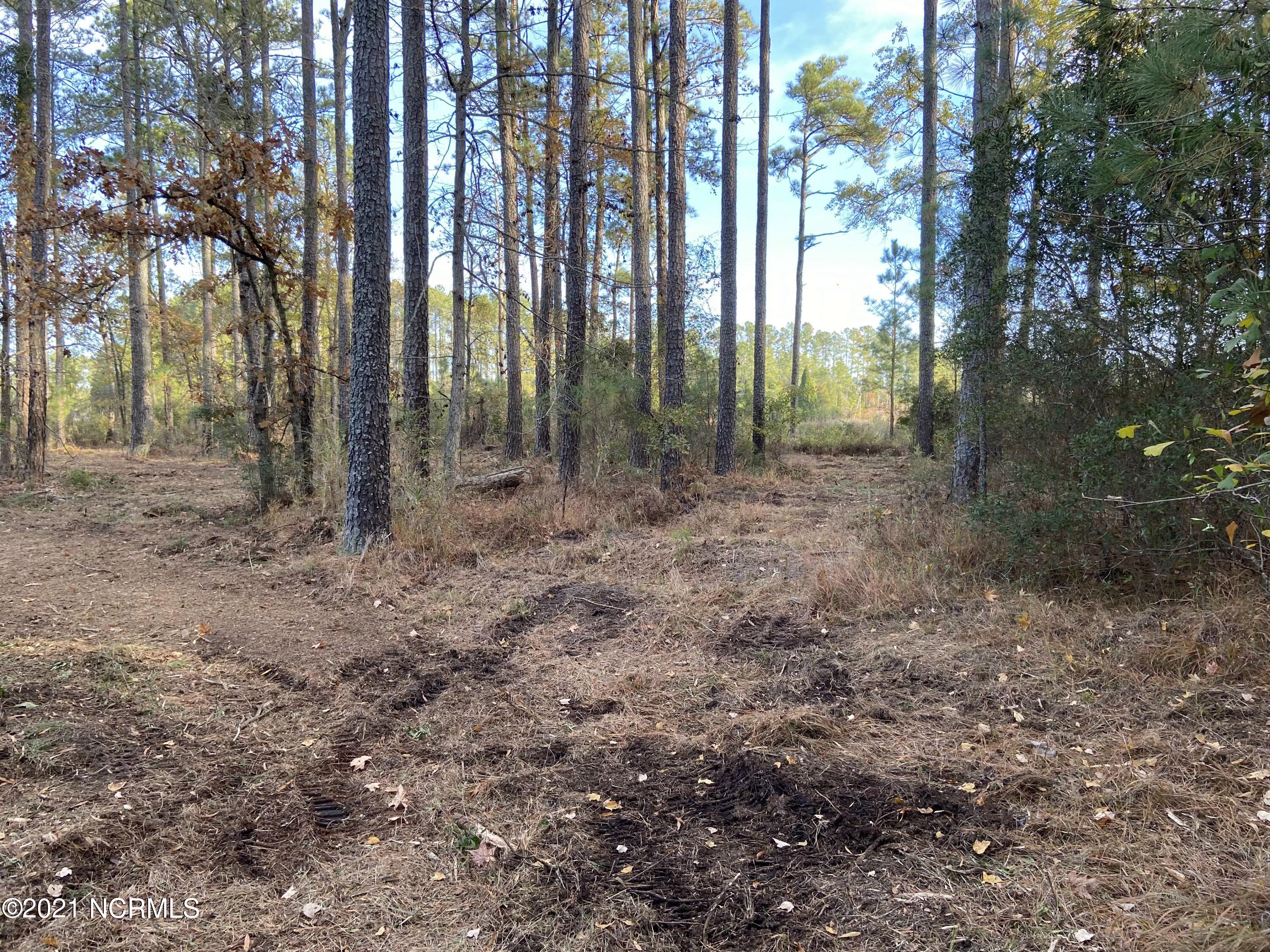 3 Schrams Beach Road Belhaven, NC 27810 - Photo 12 of 17 17C56BC5-F907-4119-BD35-0D4A90FA5700