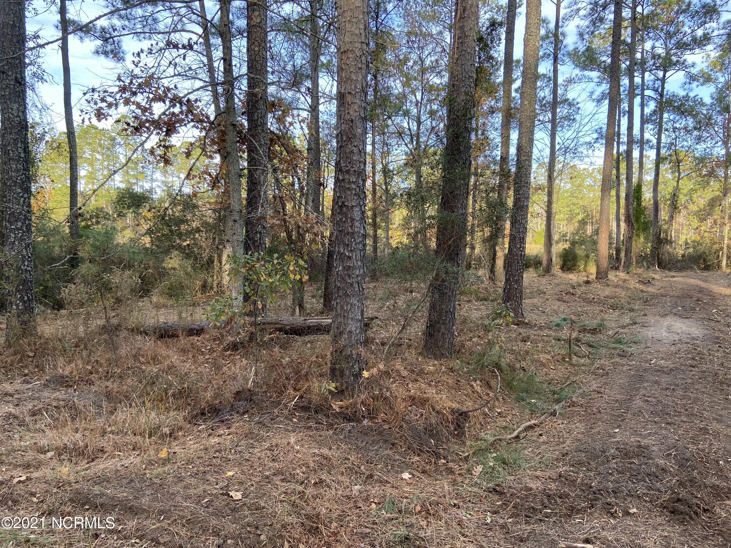 3 Schrams Beach Road Belhaven, NC 27810 - Photo 13 of 17 C9FC58FB-4694-45C9-8D60-50821073AAF3