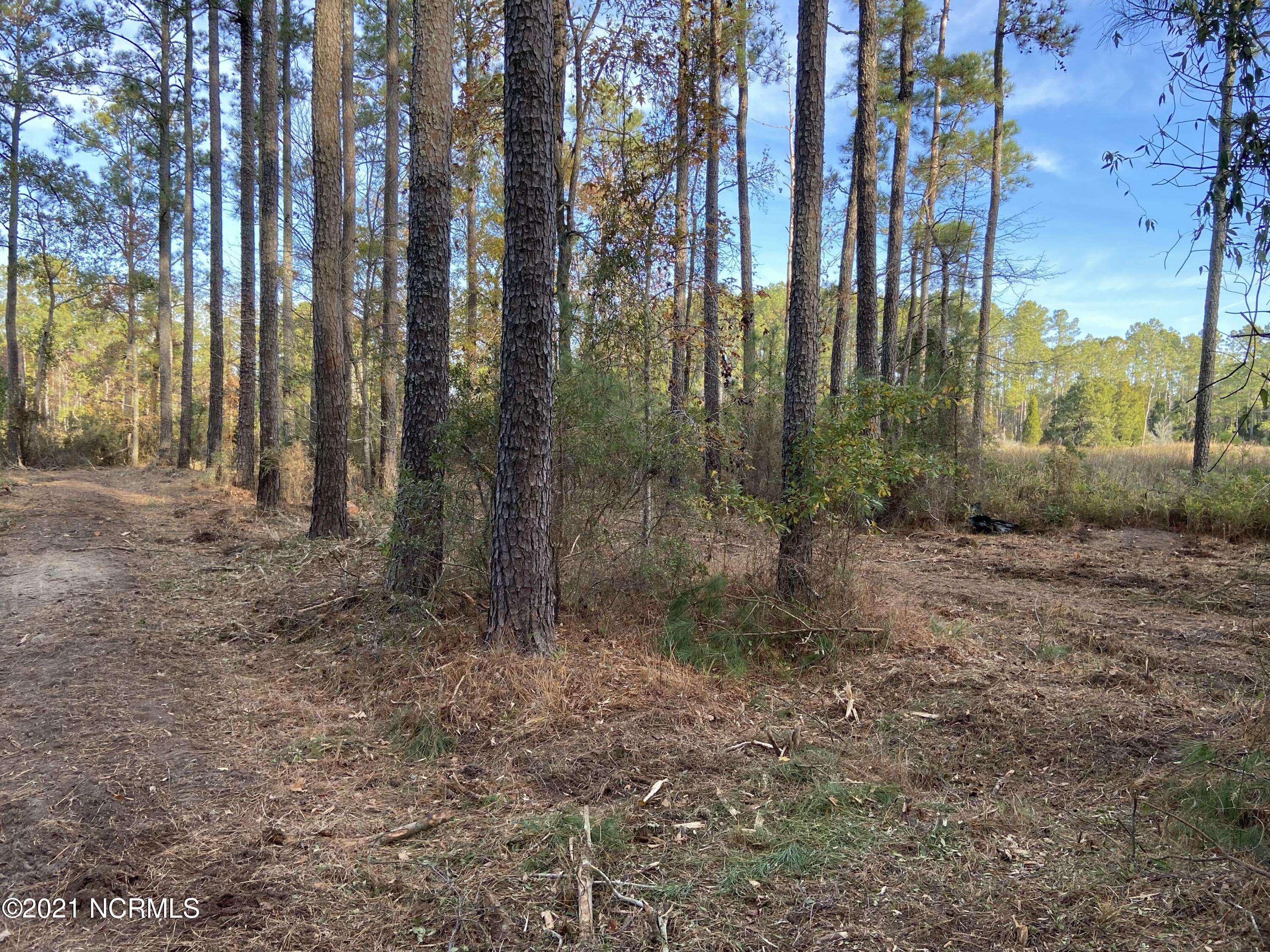 3 Schrams Beach Road Belhaven, NC 27810 - Photo 14 of 17 726277E5-538F-4CEA-9F89-8D33F742AE63