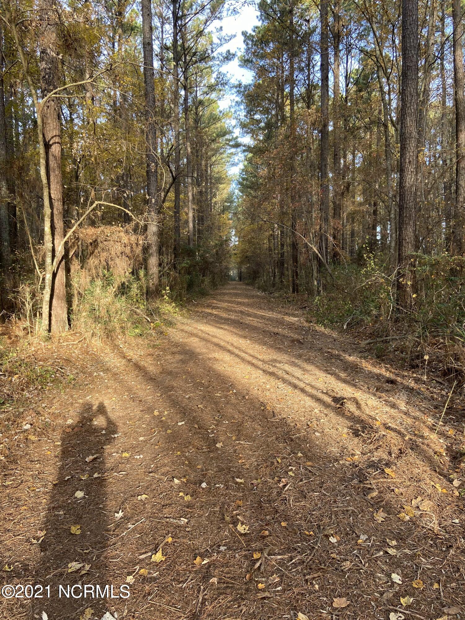 3 Schrams Beach Road Belhaven, NC 27810 - Photo 15 of 17 89A44880-4497-46C2-9C78-0350A13307B6
